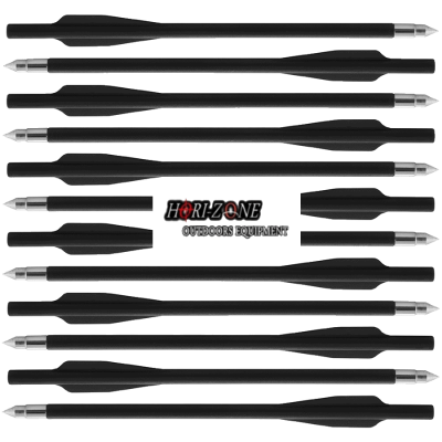 (image for) Hori-Zone Bolts for Pistol Crossbow Plastic (12 Pcs)