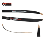 (image for) Core Hit Limbs