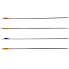 (image for) Avalon Tyro Carbon Arrow ready to shoot (4.2) with Feathers