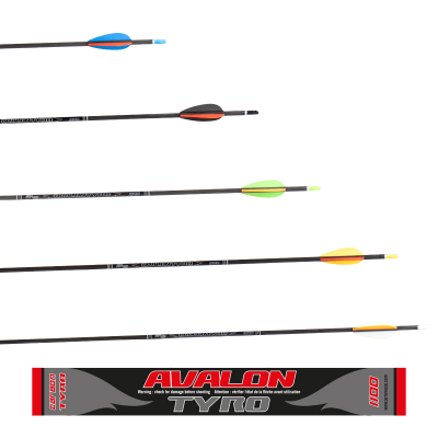 (image for) Avalon Tyro 2024 Carbon Arrow - ready to shoot (4.2)