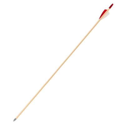 (Bild für) Buck Trail Kinder-Holzpfeil Fichte 5/16"