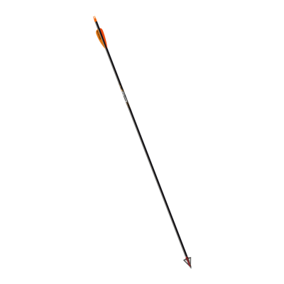 (image for) Easton Powerflight Carbon Shaft (x12)