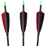 (Bild für) Penthalon Traditional Black Fertigpfeil mit Naturfedern