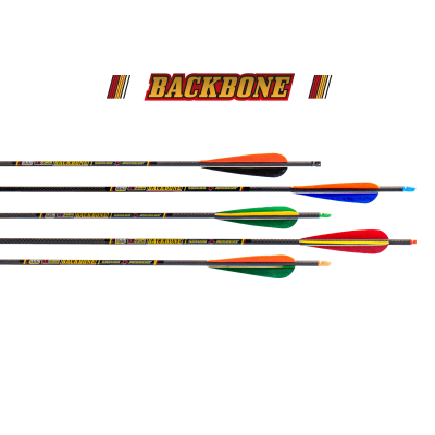 (Bild für) Skylon Backbone (±0.003) Carbon Fertigpfeil (5.2) mit 4" Naturfedern