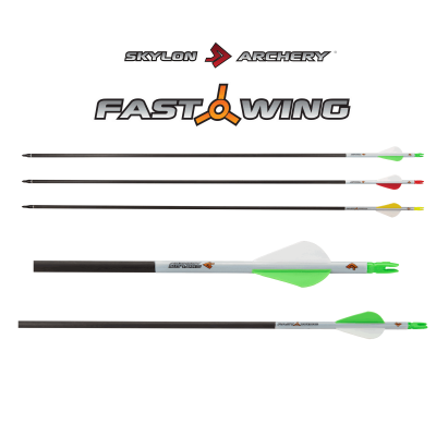 (Bild für) Skylon Fast Wing (±0.006) Carbon Fertigpfeil (6.2)