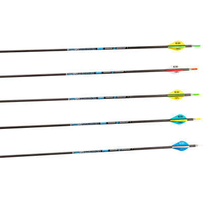 (Bild für) Skylon Phoric (±0.003) Carbon Fertigpfeil (6.2)