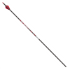 (Bild für) Victory VForce Sport (±0.006) Carbonschaft (Dutzend)
