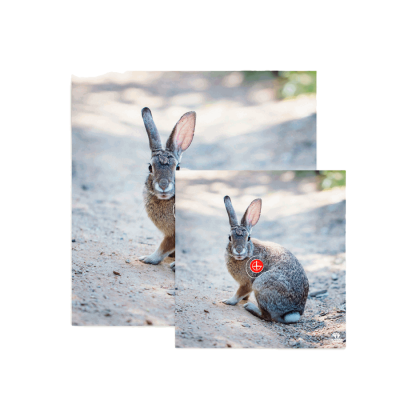 (image for) Bearpaw Animal Target Face Rabbit, Wild Boar or Deer