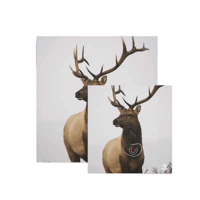 (image for) Bearpaw Animal Target Face Rabbit, Wild Boar or Deer