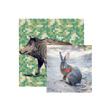 (image for) Bearpaw Animal Target Face Rabbit, Wild Boar or Deer