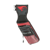 (image for) Elevation Field Quiver Nerve