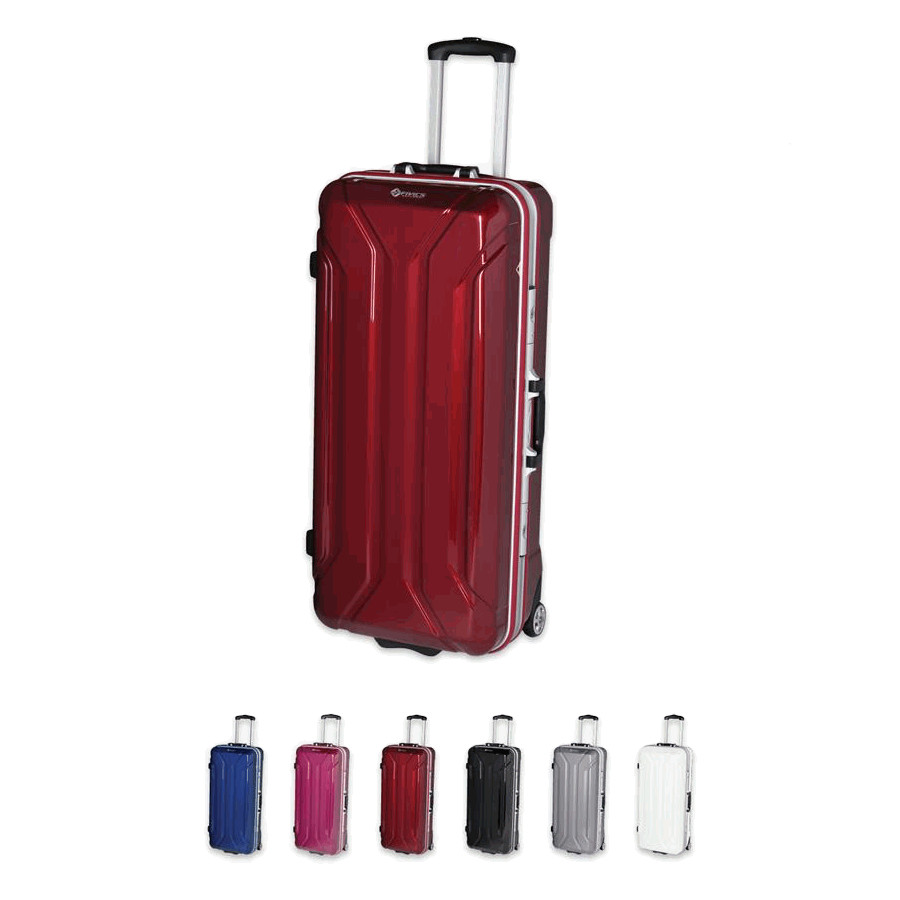 (image for) FIVICS Aegis Double Recurve Roller Case