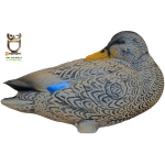 (image for) 3D-Int Duck
