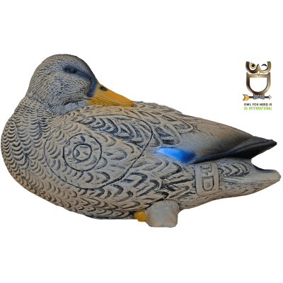 (Bild für) 3D-Int Ente