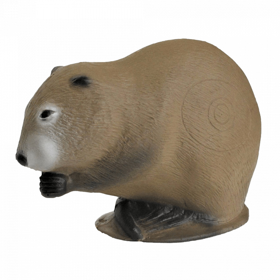 (image for) 3D-Int Muskrat