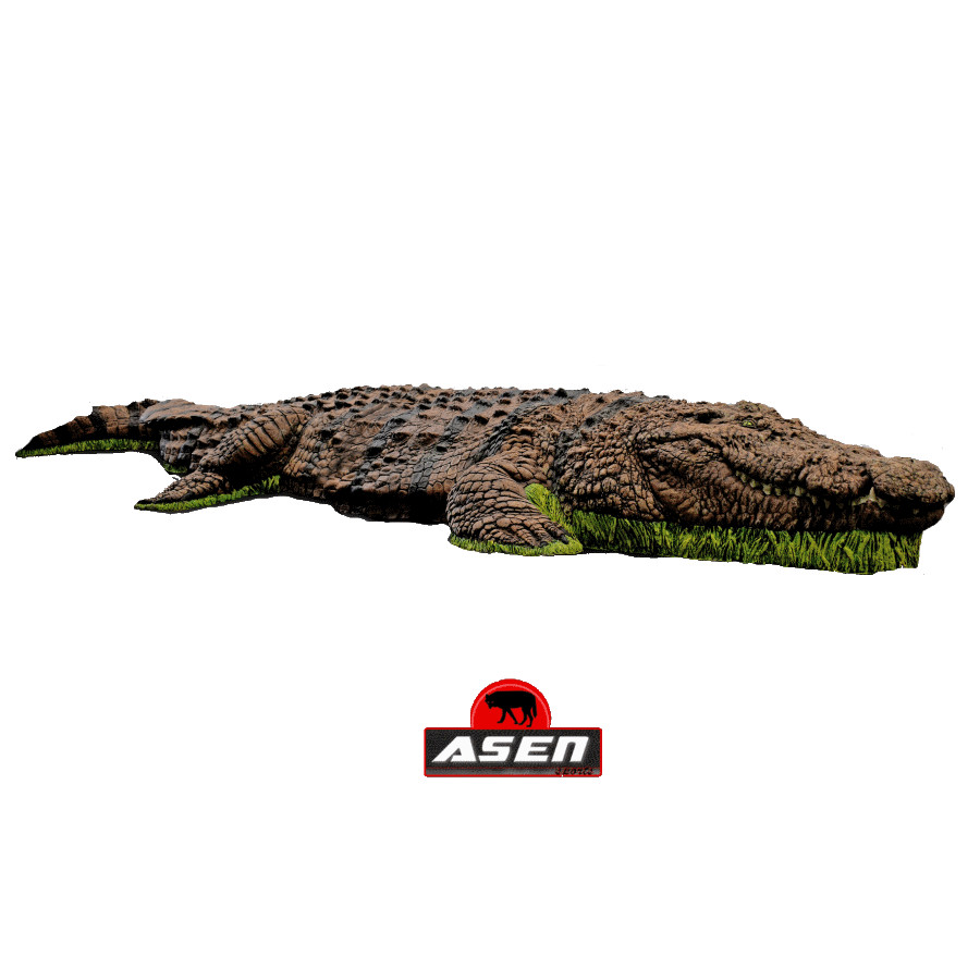 Wildcrete 3D Krokodil (Bild für) Wildcrete 3D Krokodil