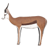 (Bild für) Wildcrete 3D Springbock