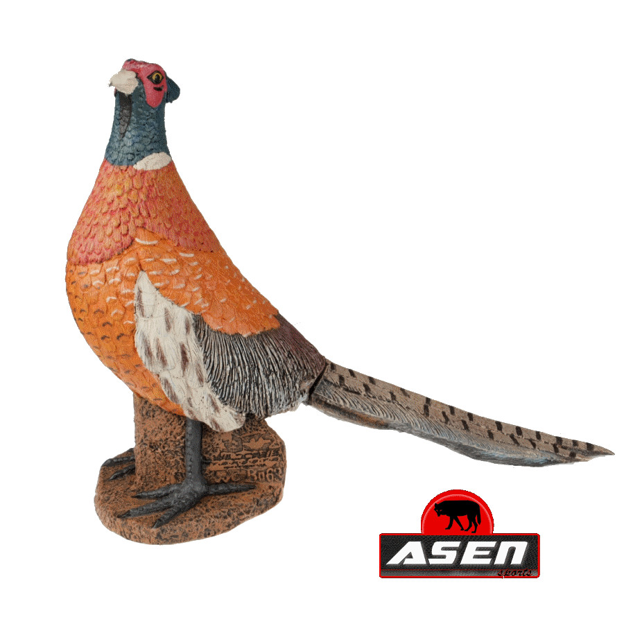 Wildcrete 3D Fasan (Bild für) Wildcrete 3D Fasan
