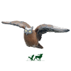 Leitold 3D-Ziel Uhu fliegend (Bild für) Leitold 3D-Ziel Uhu fliegend