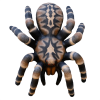 (Bild für) Leitold 3D Vogelspinne