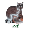 (Bild für) Leitold 3D-Ziel Waschbär