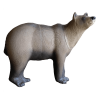 (Bild für) SRT Braunbär Marsicano