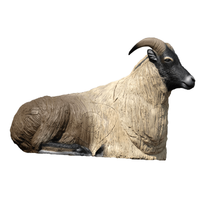 (Bild für) SRT Tahr des Himalaya (liegend)