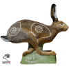(Bild für) SRT laufender Hase