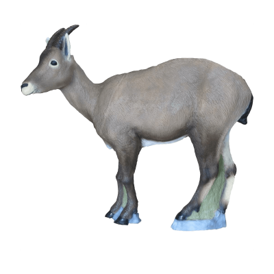 (Bild für) SRT Rocky Mountain Schaf