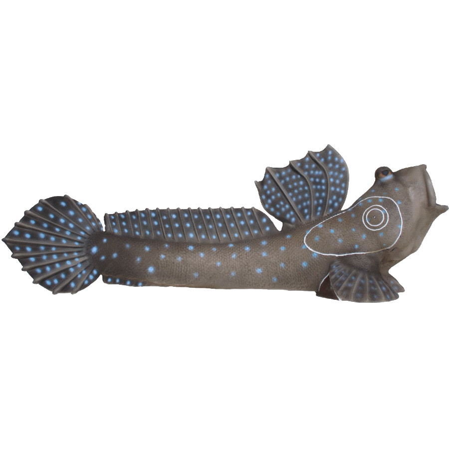 (image for) SRT Mud Skipper
