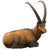 (Bild für) SRT Steinbock liegend