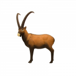 (Bild für) SRT Steinbock