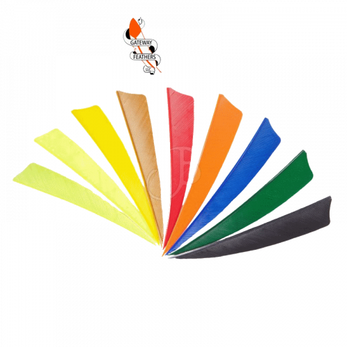 Gateway Naturfeder 4" RW (Shield)