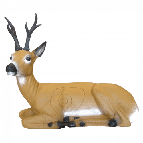 SRT Roebuck bedded