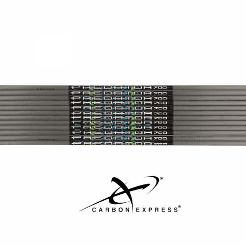 Carbon Express Predator II  (±0.006) Carbon Shaft