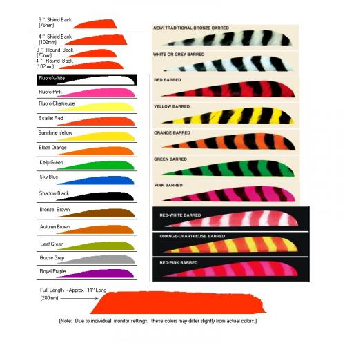 Trueflight Feathers 3" RW (Parabolic)