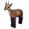 Wildcrete 3D Duiker - Antelope