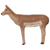 Wildcrete 3D Impala weiblich