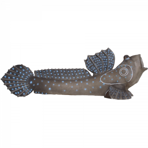 SRT Mud Skipper