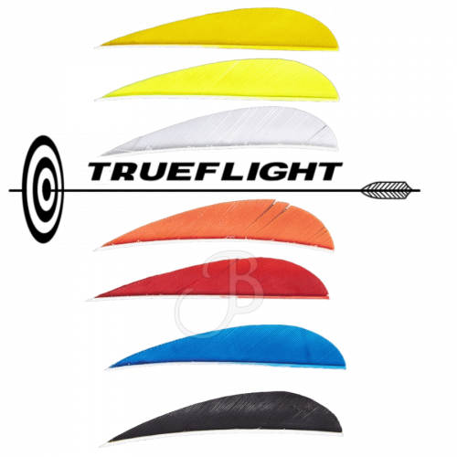 Trueflight Feathers 2,5" RW (Parabolic)