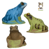 3D-Int Frosch