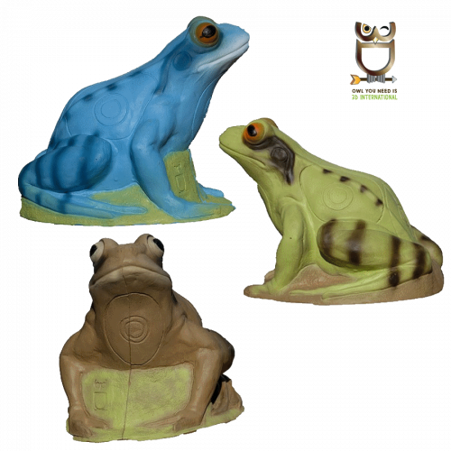 3D-Int Frosch