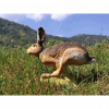 SRT laufender Hase