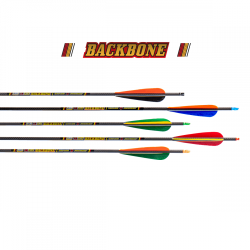 Skylon Backbone (±0.003) Carbon Fertigpfeil (5.2) mit 4" Naturfedern