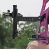 Sanlida X10 Visierdämpfer (Paar)