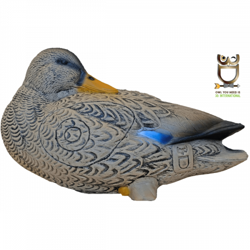 3D-Int Duck