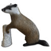 Baumgartner 3D Targets Badger